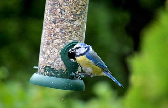 Dlaczego lodówka turystyczna różni się od samochodowej kompresorowej – klucz do wyboru chłodzenia